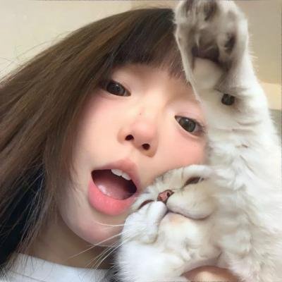 玩偶特工
